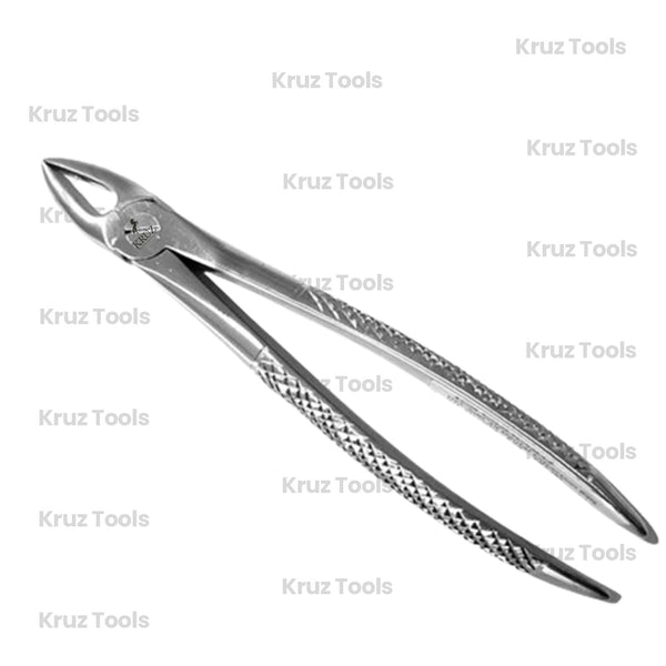 Dental Extracting Forceps Straight - 16cm