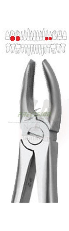 Upper Molars Right Extracting Forceps