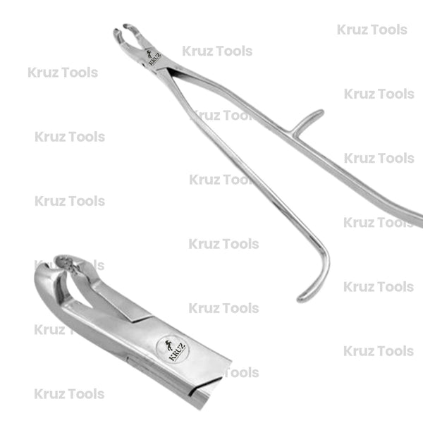 Reynolds Tooth Forceps