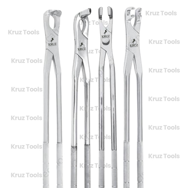 SET OF 4 EQUINE MOLAR FORCEPS