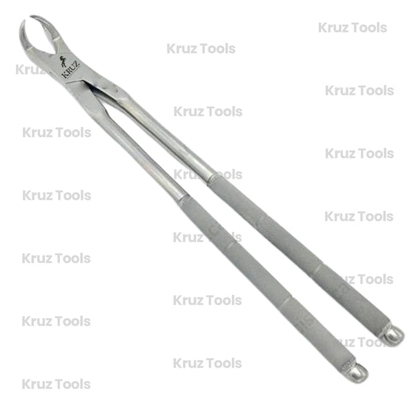 THREE ROOT FORCEPS ON SIDE, 19" (48CM)